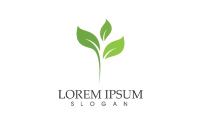 Leaf Green Nature  Logo Vector V24