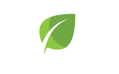 Foglia Eco Verde Natura Elemento Vector Logo V2