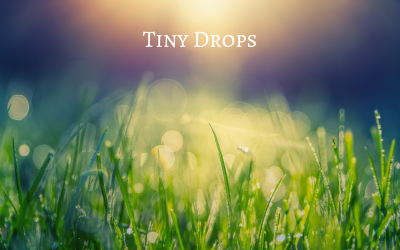 Tiny Drops - Ambient Underscore - Aktiemusik