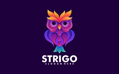 Vector Owl Barevné Logo Design