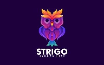 Vector Owl Colorful Logo Design