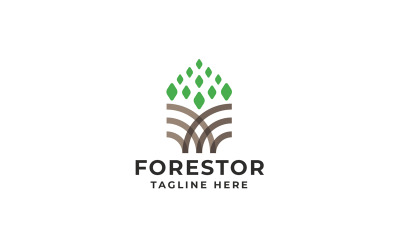 Forest Tree Logo Template
