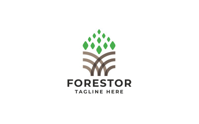 Skog träd logotyp mall
