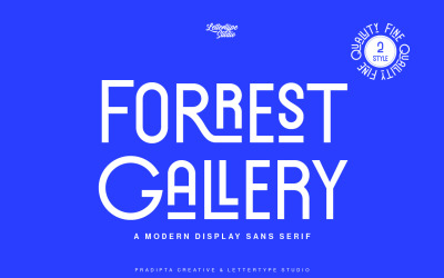 Carattere di visualizzazione moderno della galleria Forrest
