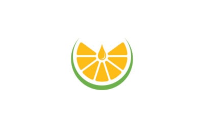 Čerstvé ovoce Orange Logo Vector Design Template V4