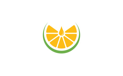 Čerstvé ovoce Orange Logo Vector Design Template V4