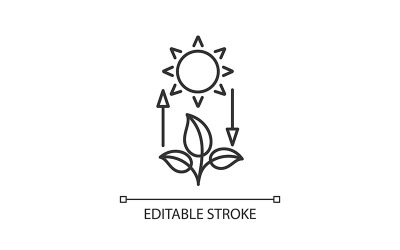 Fotosynthese lineair pictogram