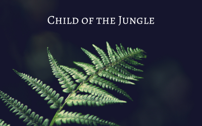 Child of the jungle - Ембіент інді-поп - фондова музика