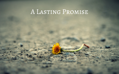 A Lasting Promise - Romantic Orchestral - Música de stock