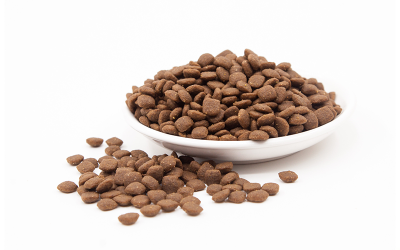 Derramar comida seca de gato ou cachorro