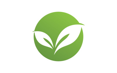 Szablon Logo Liść Natura Ilustracja Wektorowa V8