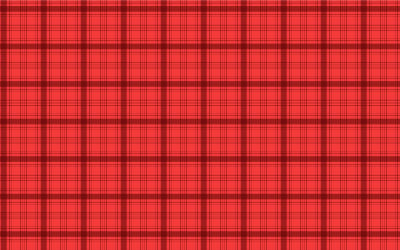 Red plaid pattern vector for fabrics