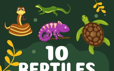 10 juegos de ilustración de reptiles animales