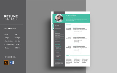 One Page Resume / Cv Template