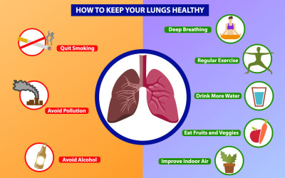 Здорові легені Інфографіка вектор шаблон