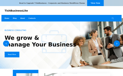 TishBusinessLite — бесплатная корпоративная и деловая тема WordPress