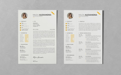Clean Printable Resume/CV Design PSD Templates