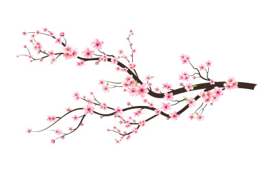 Cherry Blossom Tree Branch Flower Vector - TemplateMonster