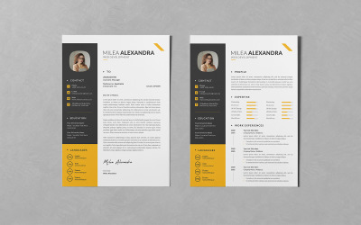 Резюме/резюме PSD Design Templates Vol.95