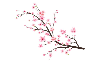 Cherry Blossom Tree Branch med Sakura