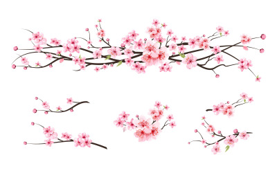 Cseresznyevirág Akvarell Sakura Virág
