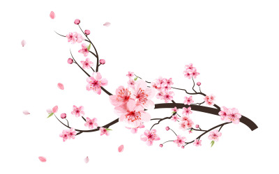 Fleur de cerisier avec des fleurs de sakura roses