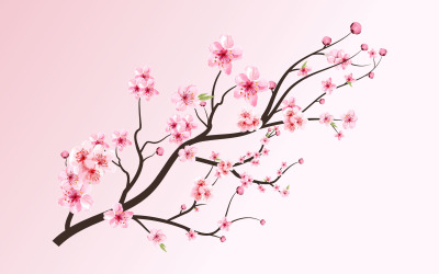 Kiraz Çiçeği Çiçek Açan Sakura Vektör