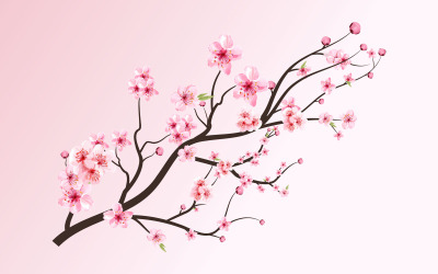 Körsbärsblomning blommande Sakura vektor