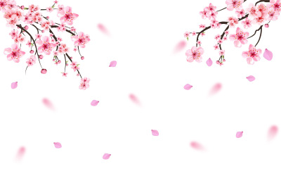 Realistiska körsbärsblommor som faller