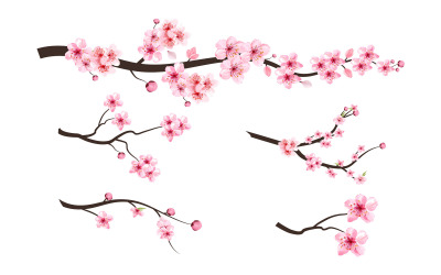 Sakura gren med rosa blomma