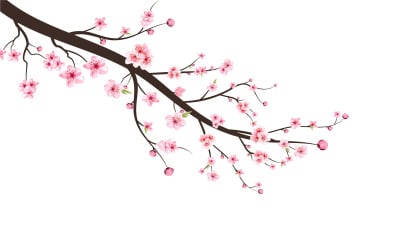 Cherry Blossom Branch Elements Vector - TemplateMonster