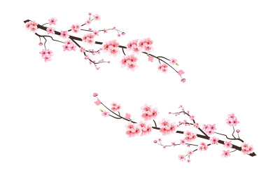 Cherry Blossom Flower with Watercolor Petal