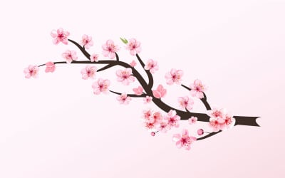 Cherry Blossom Sakura Branch Pink Flower