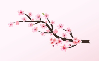 Cherry Blossom Sakura Branch Rosa blomma