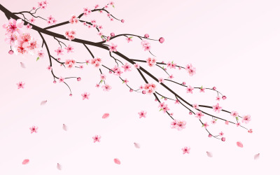 Kirschblüten-Blumen-fallender Hintergrund