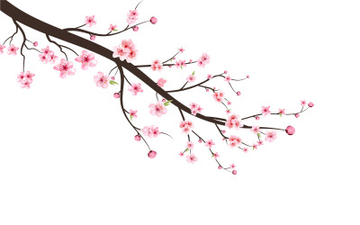 Větev třešňového květu s designem Sakura