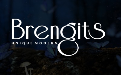 Brengits - Sans Serif Fonts