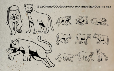 12 Leopar Puma Puma Panter Siluet Seti