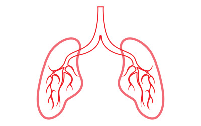 Human Lung Vector Image Mall Vol 10