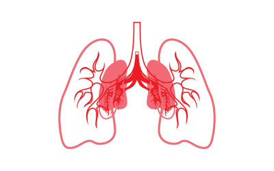 Human Lung Vector Image Mall Vol 13