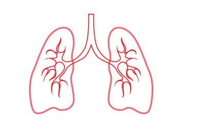 Human Lung Vector Image Mall Vol 9