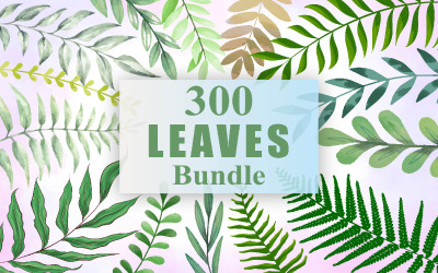 Leaves Clipart, Leaves Collection, Leaves Clipart Illustration