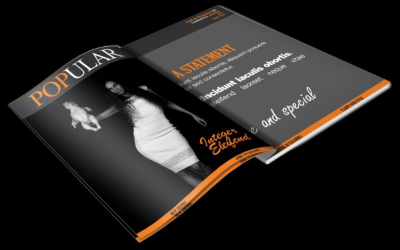 Attitude Themed Magazine Template