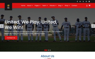 Falcon - Cricket &amp;amp; Sports Club HTML5 webbplatsmall