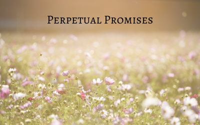 Perpetual Promises - Ambient - Aktiemusik