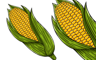 Ilustración vectorial vegetal de maíz