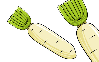 Radish Vector Illustration
