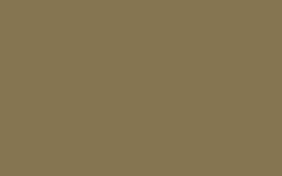 Imágenes de fondo de Vector de color sólido | Diseño de fondo de alta calidad premium
