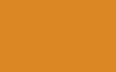 Hermosas imágenes de fondo de Vector de color sólido | Imágenes de fondo de color sólido premium