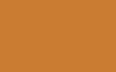 Hermosas imágenes de fondo de Vector de color sólido | Imágenes de fondo de color sólido premium